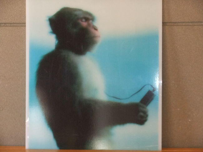 パネルを置いてました<br /><br />ＣＭに出てたチョロ松