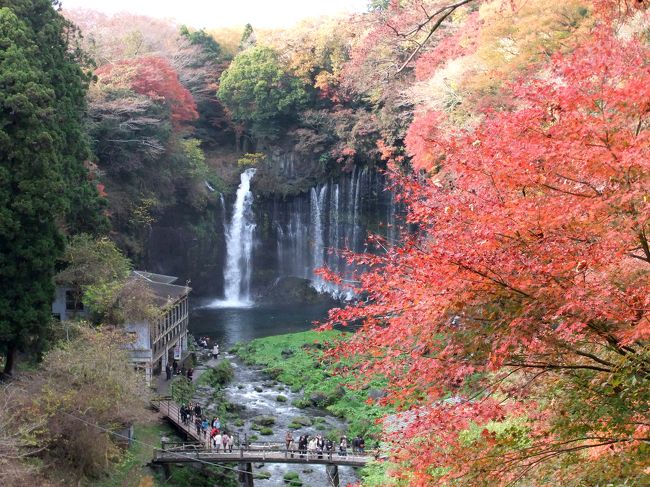 今回は足の悪い連れがいたので下まで降りず。<br /><br />でもこれでも十分