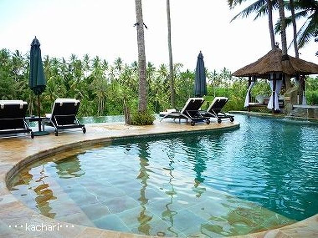 <br />写真では、美しさが伝わらず残念ですが(^_^;)<br />ロビーから、階段を下った正面には、渓谷を見渡すパブリックプールがあります。<br /><br />