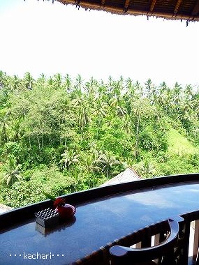 <br />渓谷の緑が気持ちのいい席です♪