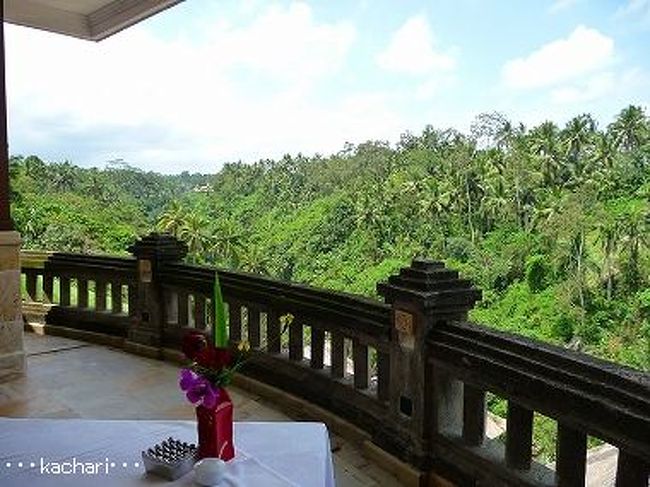 <br />スパに行く前から、思いっきり癒されました（*^^*）