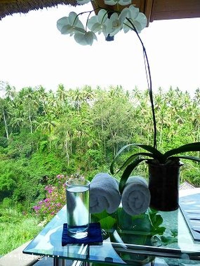 <br />マッサージの後は、クリームバスです。<br /><br />絶景を眺めていたら、突然野生の猿が目の前に現れてびっくり！！<br />お猿さんも、スパを受けに来たのかもしれません^m^