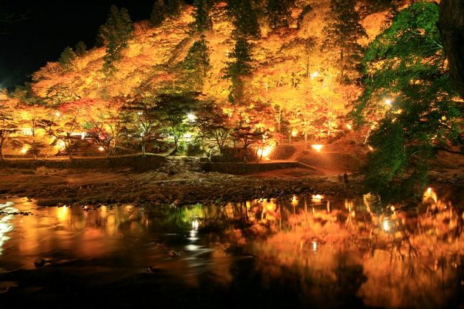 小さな旅○愛知の紅葉・香嵐渓（こうらんけい）幻想的な紅葉