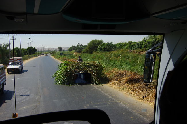 午前10時。<br /><br />アスワンまでの高速道路はないので、馬車も通る田舎道を、バスはひた走ります。次の目的地は、コム・オンボ神殿です。