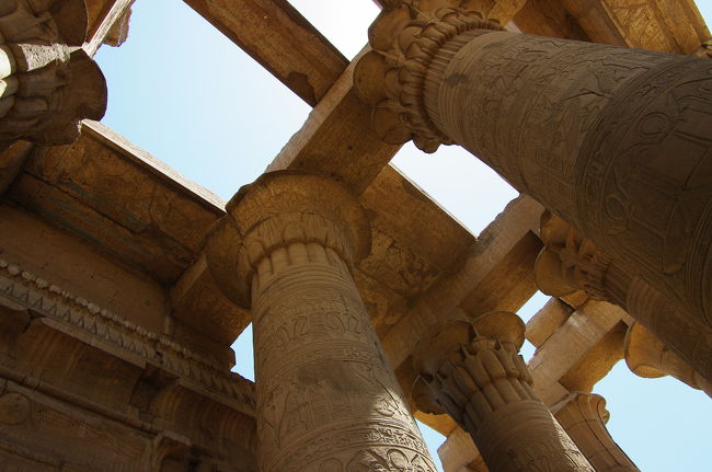 何度見てもやっぱり立派な柱を下から。