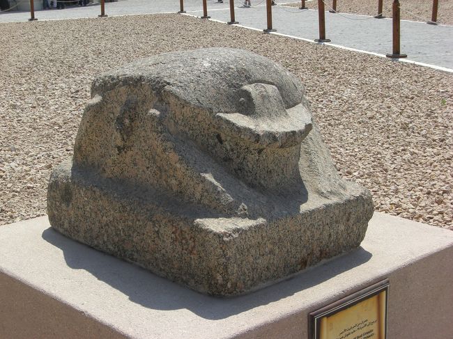 今回の旅で好きになったスカラベくん。<br />別名フンコロガシともいう。