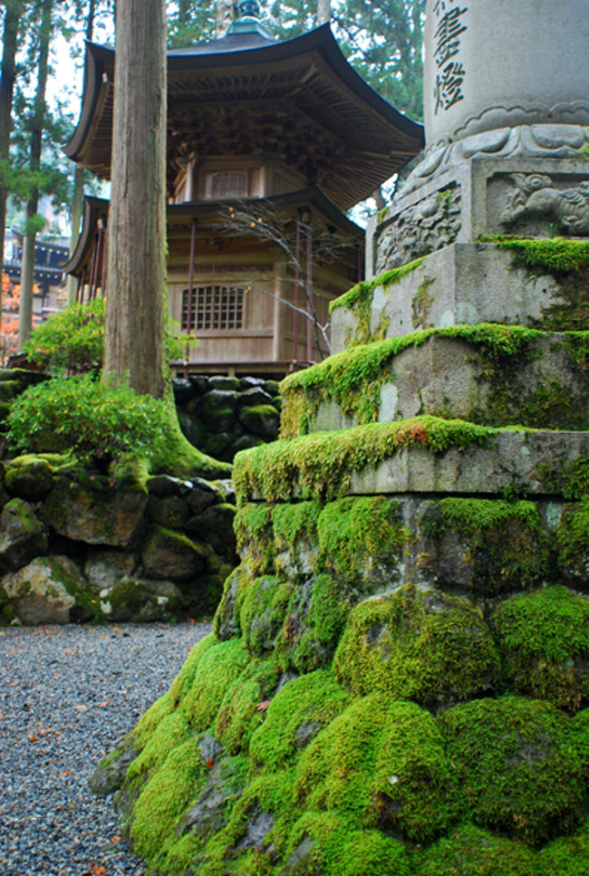 只今、10時すぎ。<br /><br />昨日からこの近辺の宿に泊まっているツアー客がたくさん来た。<br />雨のせいもあってか、個人客はまだあまりいない。