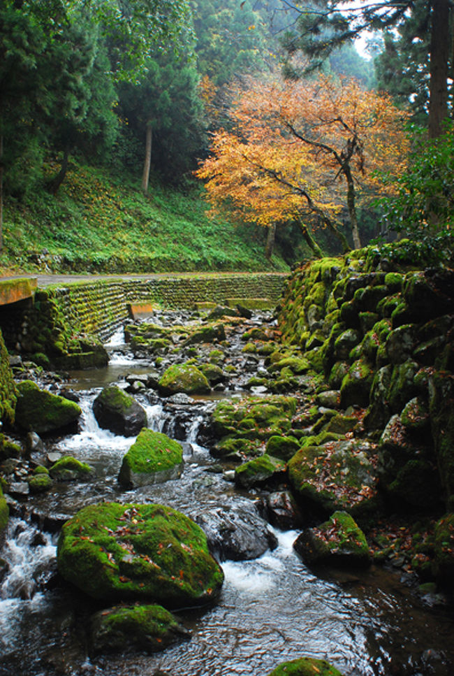 この川に沿って歩いていくと、ダム水が集まる場所？に出る。<br /><br />人の気がなく、静か。