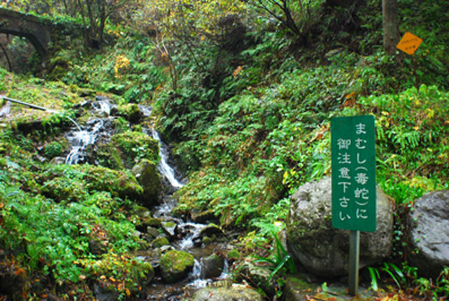 一応ハイキング道らしい。<br /><br />この「まむし注意」の看板のほかにも、「子ども・お年寄りの登山は危険」「遭難注意」と厳重な注意を呼びかける看板がある。<br /><br />こんな危険な道をハイキングする人がいるんかな？