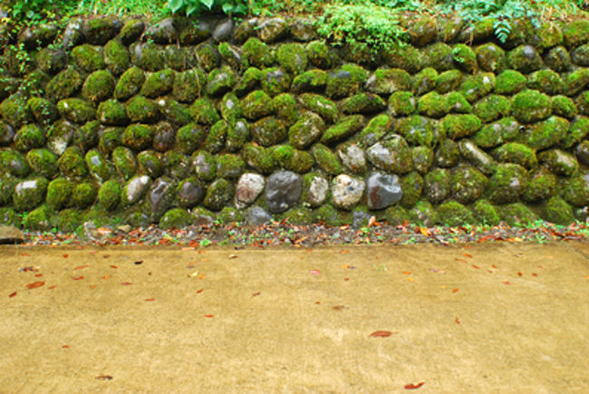 この辺りの壁は、石を積み重ねて作られている。<br /><br />この後、永平寺のふもとにあるそば屋「てらぐち」【永平寺そば】と【ごま豆腐】をいただいた。<br />少しだけ並んだけど、12時くらいってこともあり、すぐ入れた。<br />そばはコシがとても強く、ごま豆腐もしっかりとした歯ごたえ。<br />どちらも体を綺麗にする食材。最高においしかった。