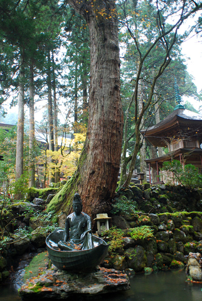 新宿発・22:30の高速バスに乗り、朝7:30に福井駅に到着。<br /><br />福井駅から永平寺直行バス(片道￥720)に揺られること30分、永平寺に到着。 <br /><br />大きな木が立ち並び、神聖な空気が漂う。