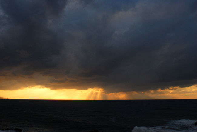 雲間から夕日が海を照らす。<br />光のベールが幻想的。<br /><br />東尋坊周辺には魚屋が多いからか、猫も多い。<br />びっくりするくらい多い(トルコに行ったことがある人は、トルコを想像してほしい)。