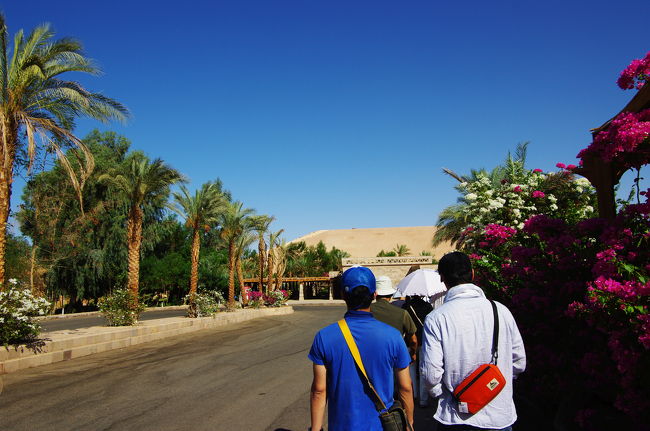 そしてやってきた、アブ・シンベル神殿の入口。<br /><br />ブーゲンビリアの花がきれいです！