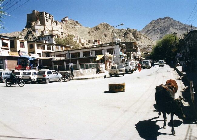 バスが出発する。峠の向こうの新たな地平が見える。<br />さあ、下りだ。<br />遥か下方まで続く無限のつづら折。<br /><br />無限に思えたつづら折が終わり、道の起伏が落ち着き始める頃、辺りにチベット風の民家の姿が目立つようになる。<br /><br />しばらく進むと灰色の大きな流れが見えてきた。<br />インダス川だ。<br />その川沿いにある小さな村、「ウプシ」でバスは休憩した。<br /><br />ウプシを発ち、インダス川に沿ってバスは北西に進む。<br />荒涼とした岩山はどこまでも続いているが、徐々に緑が多くなってきた。<br /><br />そして、夕方、辺りが薄暗い闇に包まれ始めた頃、バスは標高3500mのラダックの中心、レーの町に到着した。<br /><br /><br />★★★メインブログの詳細記事はこちら↓★★★<br />「インドのチベット」ラダックの中心「レー」の町とゴンパ巡り<br />https://search-ethnic.com/travel/leh/