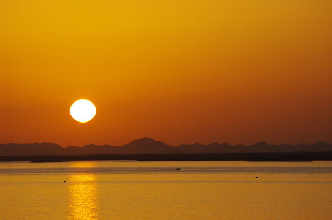 うっとりです。