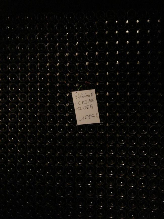 最初のワイナリー、Mum社の酒蔵ツアー。<br />地下はひんやりしてます。<br /><br />シャンパンは瓶に詰めてからねかすようです。<br />このままこの瓶たちがお店に並ぶのかーって思うとなんだか不思議な感じです。