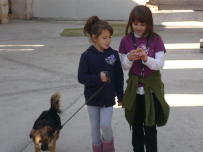 ディオクレティアヌス宮殿付近を観光していて、現地の子供たちに遭遇。<br />犬の散歩をしてました。子供はどこにいっても、可愛いものです。<br /><br />内戦や戦争は無くなってほしいですね。