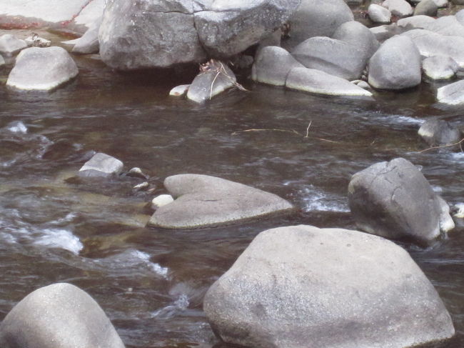 川の水も澄んでいました。
