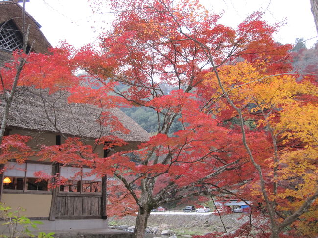 散策開始です。