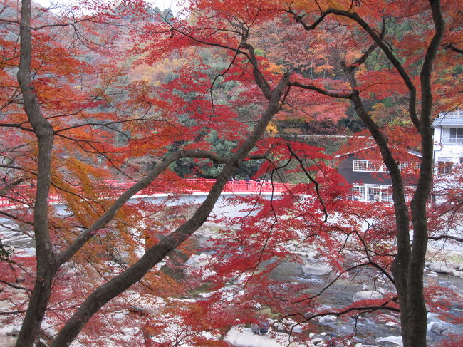 風がなくて、散策中は、そんなに寒くなかったです。