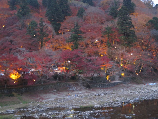 紅葉、見納めかな？<br /><br />余談になりますが…猿投グリーンロードの有料道路を過ぎると、とてもスピードが出やすくなります。<br />丁度、愛地球博公園の辺りですが、白バイのお巡りさんが、一生懸命お仕事しています。<br />お気を付け下さい。