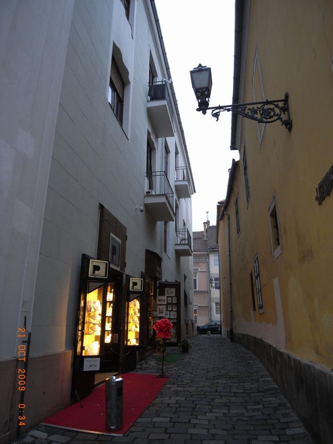 これも王宮の中、いわくヨーロッパの街ってどこに言ってもこんな雰囲気なんだそう