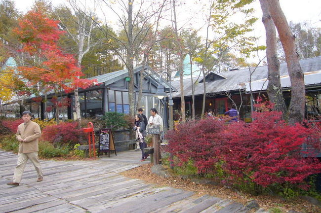 ちょっと雨が降り出してきました。<br /><br />この辺で退散します。<br />これから富士山方面へ！