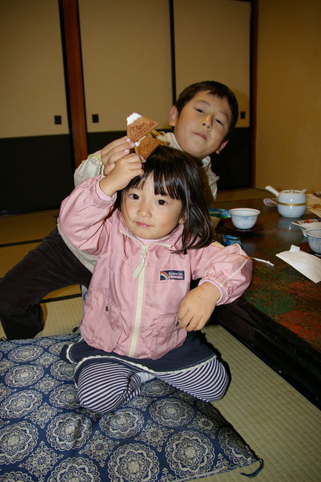 宿に到着。<br />河口湖畔の、「湖のホテル」（みずのホテル）です。<br />部屋から、河口湖、富士山が眺められる、<br />なかなかの眺望だそうです。