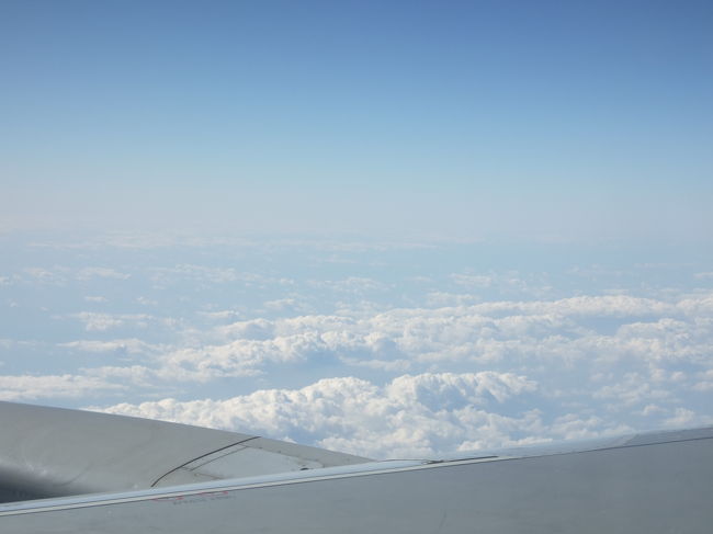 飛行機内より。<br />雲が多いです。<br /><br />機内食は期待してませんでしたが…激マズです…<br />分かっていましたが、サービスもいまいち…。<br /><br />初めての海外で、今まではANAかJALしか使っていないのであまりの差にがっくりしましたが仕方ないですね。<br />無事つけばとりあえずいいや〜って事で（笑）