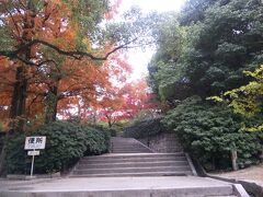 そうだ福山城に行こう。

そうだ福山城に登ろう。


相方もなんだか快諾。

いやぁ。思いがけず紅葉がキレイです。