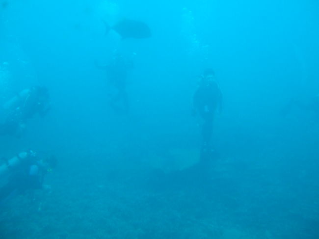 ダイバーがいるの、わかりますか？？<br />ダイビングしている人たちからもこちら側が見えるようで、手を振ったりしました☆<br />こういうのも楽しいです。