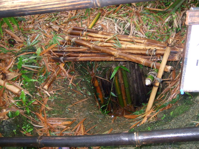 横井さんの洞穴です。<br />こんな小さな穴に入っていたんですね。。<br /><br />ちなみに、グルーっと回る途中で横井さんの洞穴への道に行くんですがジャングルのようでした。<br />蚊に刺されます！！！<br />雨だったので足が泥だらけになりました。