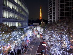目線をあげて、お約束のアングル

けやき坂のイルミは、東京タワーとほど良い距離感でコラボできるからいいですよね。