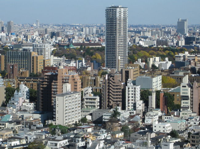 上野の森方向。安田講堂が見える。