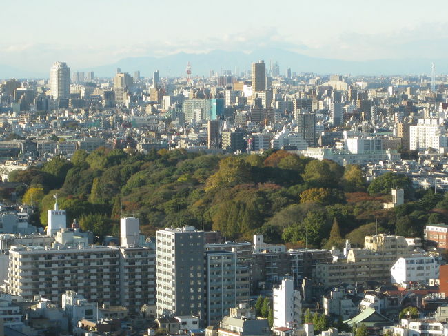 小石川植物園方向。