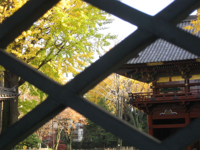 09　根津権現　きれいにお化粧直しされたので美しい。