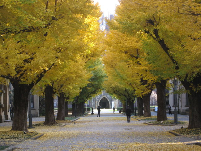 東京帝国大学　　菊坂に下宿している安吉一家の金庫番、書生常こと常次郎は帝大法科の贋学生だが会えそうで会えない、、、、。（天切り松　闇がたり　浅田次郎）<br />小説の人物に会えるわけがない。<br /><br />