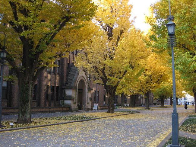 常次郎や松蔵に会えなくても菊坂や小石川界隈で立花隆さんは良く見かけた。