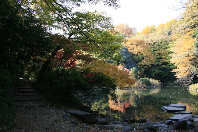 三四郎池の朝。