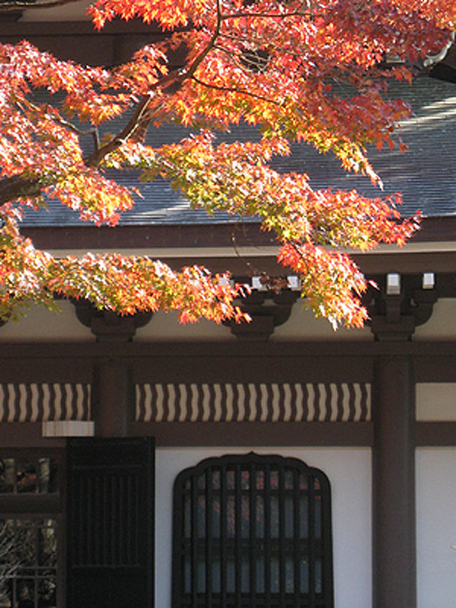 お寺のデザインというのは、いつみても美しいですね。