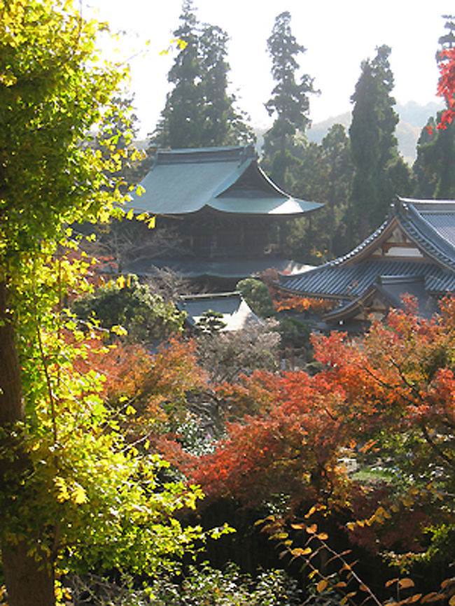 こちらは龍隠庵からの眺め。