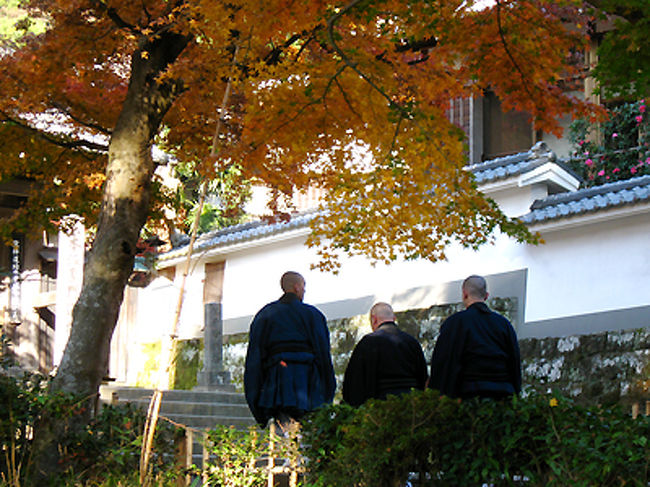 お坊さんが歩いてきたのでシャッターを押しました。<br />紅葉の風景にお坊さんは絵になります。