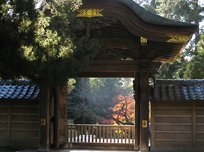 門の向こうに綺麗に色づく楓が。