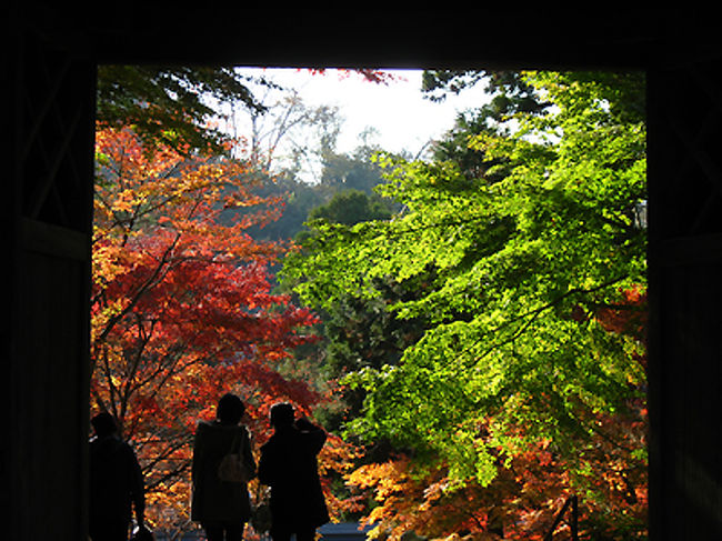 境内から総門を通してみた景色です。