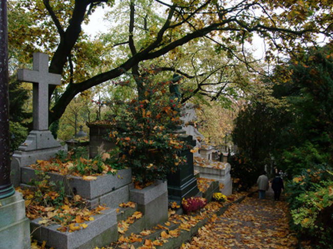 お墓と木々で、なんかよい感じ。<br /><br /><br /><br /><br />・・・お墓たちにもなれてきて、もう怖くない！<br />（実を言うと入り口あたりではちょっと怖かった。。）