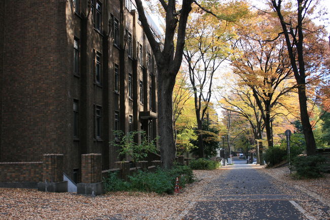 この界隈を浅田次郎先生に書かせるとこうなる。<br /><br />『へい、がってんです、俺ァたちまち梯子段を駆け下り、池之端から切通坂、龍岡町から三丁目に出るのァ面倒くせえてんで帝大病院の庭をつっ切って、赤門から本郷通りへと飛び出たとたん、おっとどっこい、銀杏並木の向こうから当の常兄ィが分厚い洋書なんぞ読みながら歩ってくるじゃあねえか、、』<br />