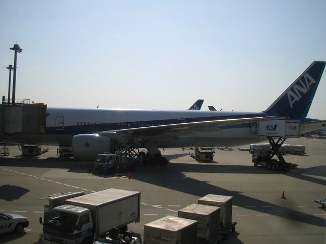 ソウル行き午前のANA便はNH907便のみ。<br />エアバス320です。機内サービスが充実していないのでちょっと不満。ほんとはアシアナ航空を利用したいのですが、、、<br />