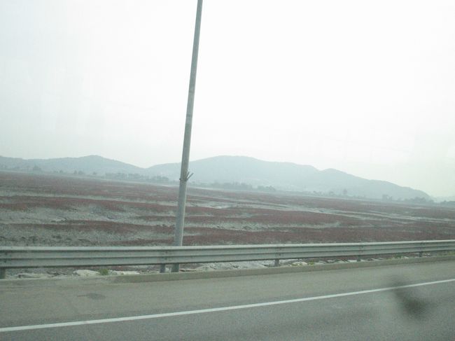 空港からホテルまではKALのリムジンを利用します。<br />渋滞もなくとても便利です。<br />シートも広々で快適。<br /><br />それにしても、この赤い土、なぜこんなに赤いのか、とても気になります。