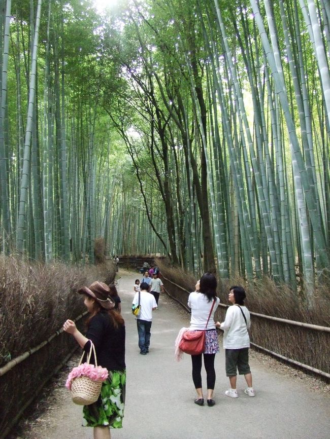 散策〜散策〜♪<br /><br />竹林〜〜〜〜！！！！<br /><br />