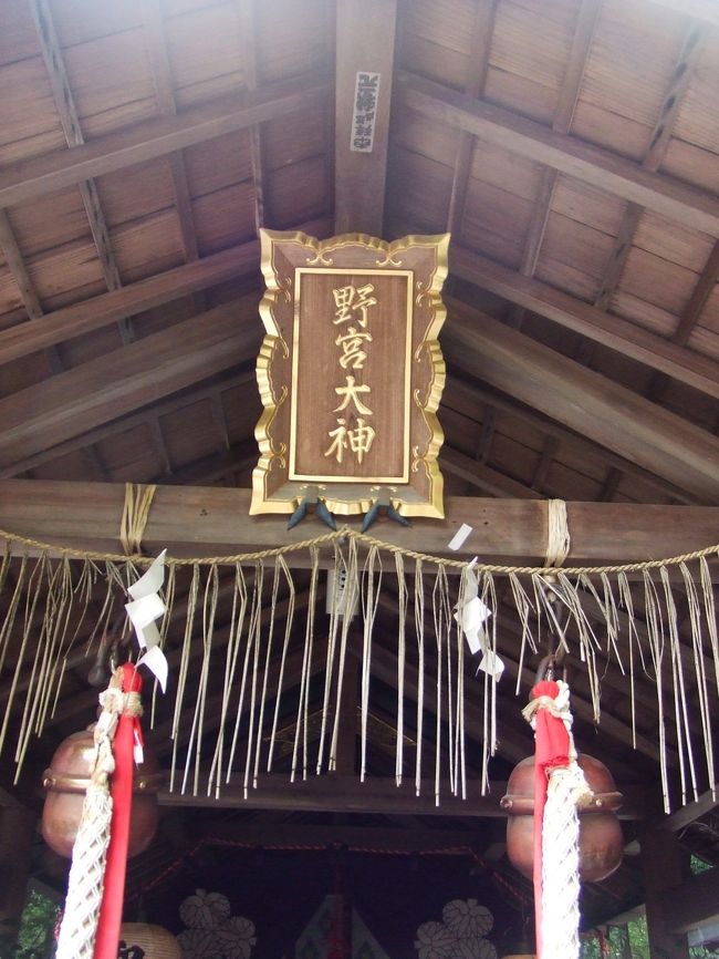 お！これが噂の！なんだっけ？えんむすびのね。